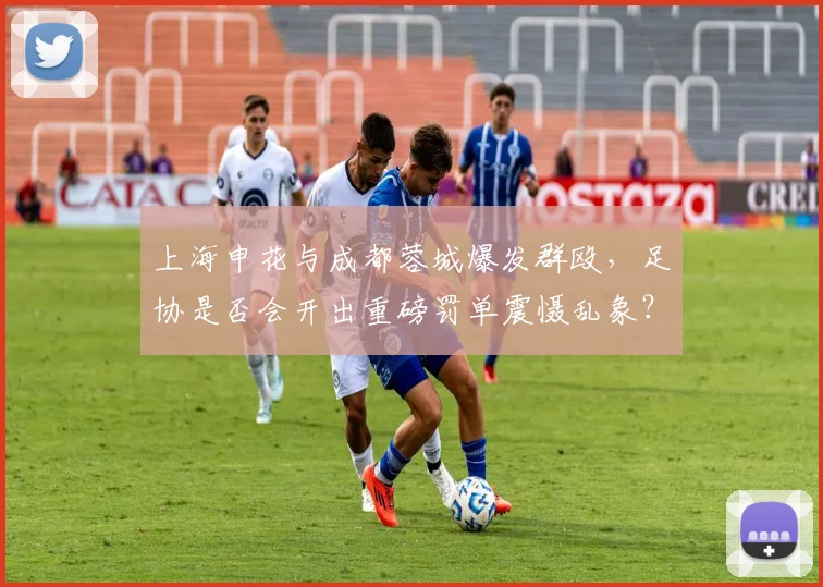 上海申花与成都蓉城爆发群殴，足协是否会开出重磅罚单震慑乱象？
